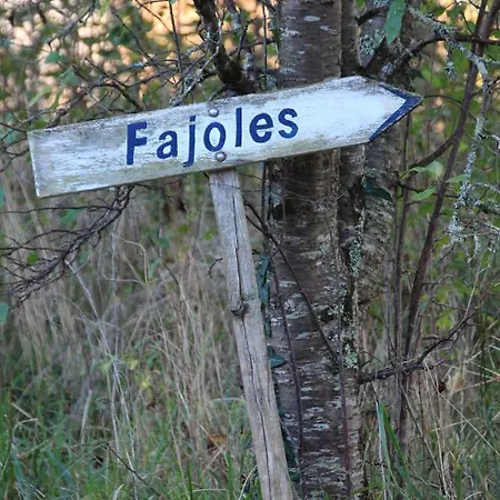 Semesterbostad Mas De Lizet